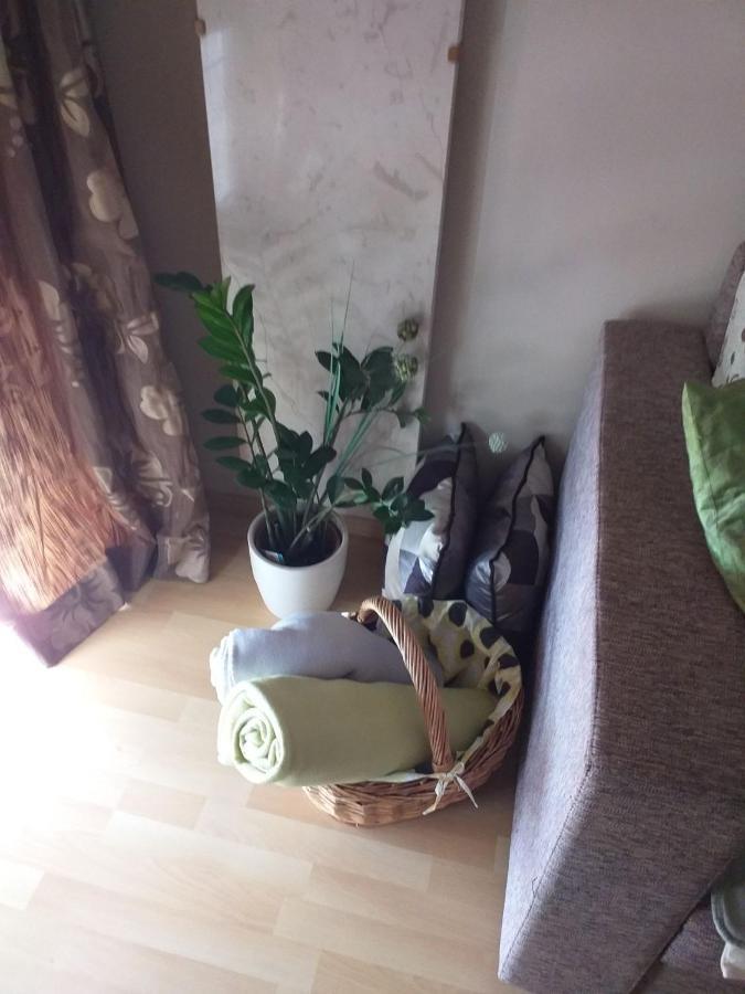 Luxury Apartments Sonja ポレッチ エクステリア 写真